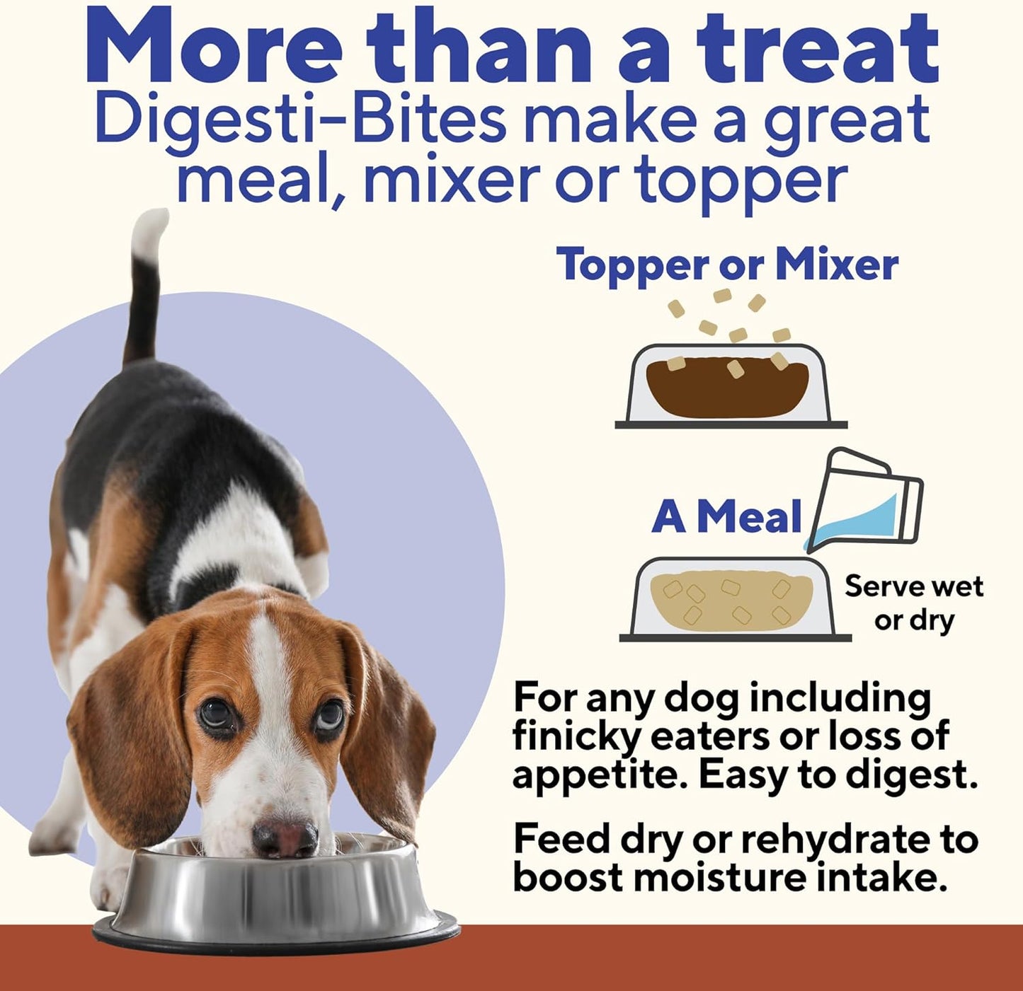 Dave's Digesti-Bites Beef, Rice & Pumpkin Dog Treats /4 oz