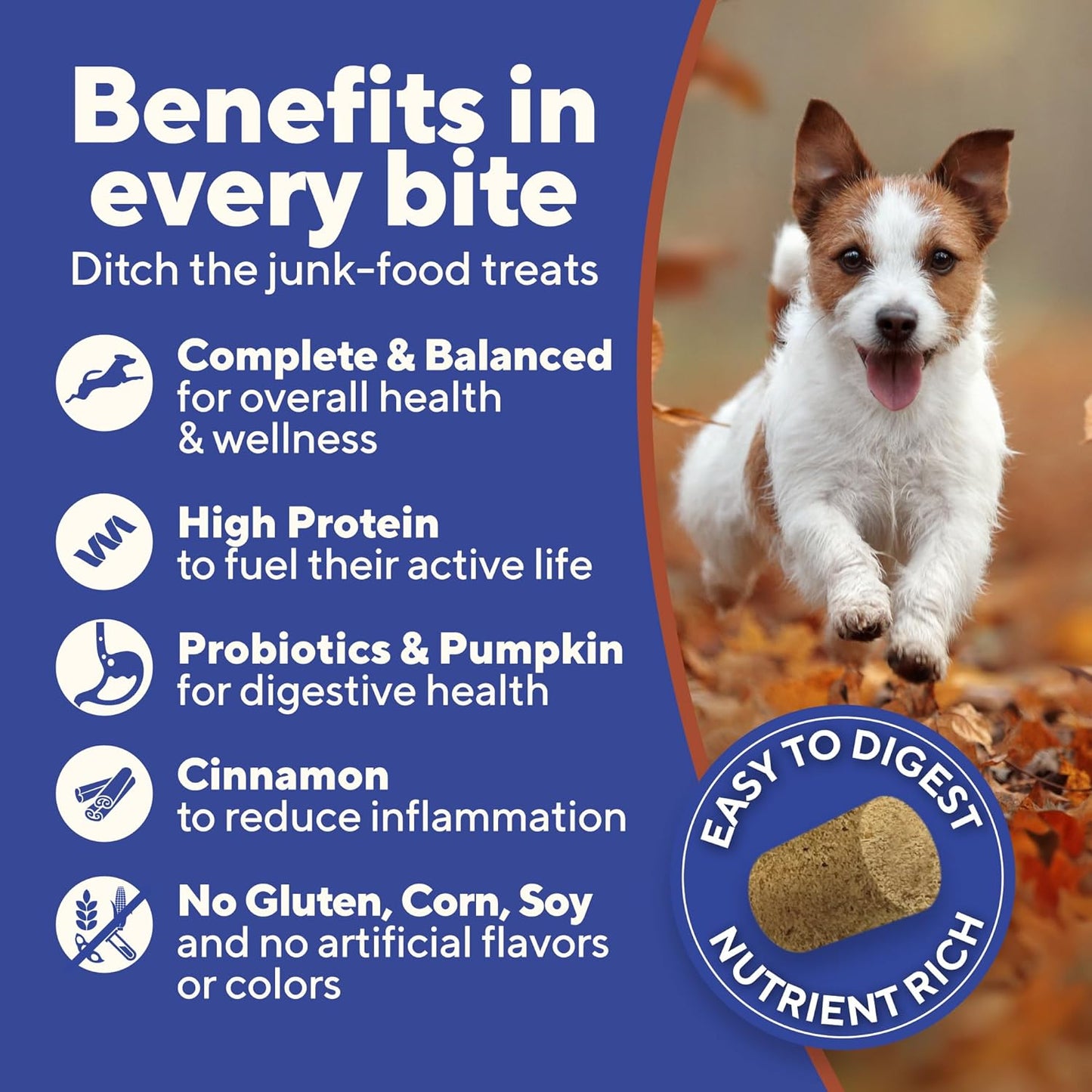 Dave's Digesti-Bites Chicken, Rice & Pumpkin Dog Treats /4 oz