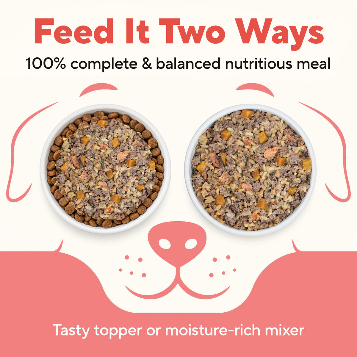 Dave's Chicken & Salmon with Brown Rice, Goat Milk Pouch Recipe for Dogs / 10 Pack - 9 oz Pouches