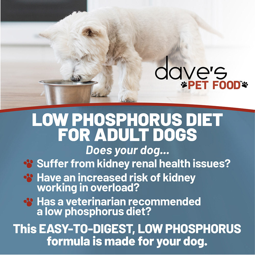 Canned Phosphorus Tuna Paté For Dogs