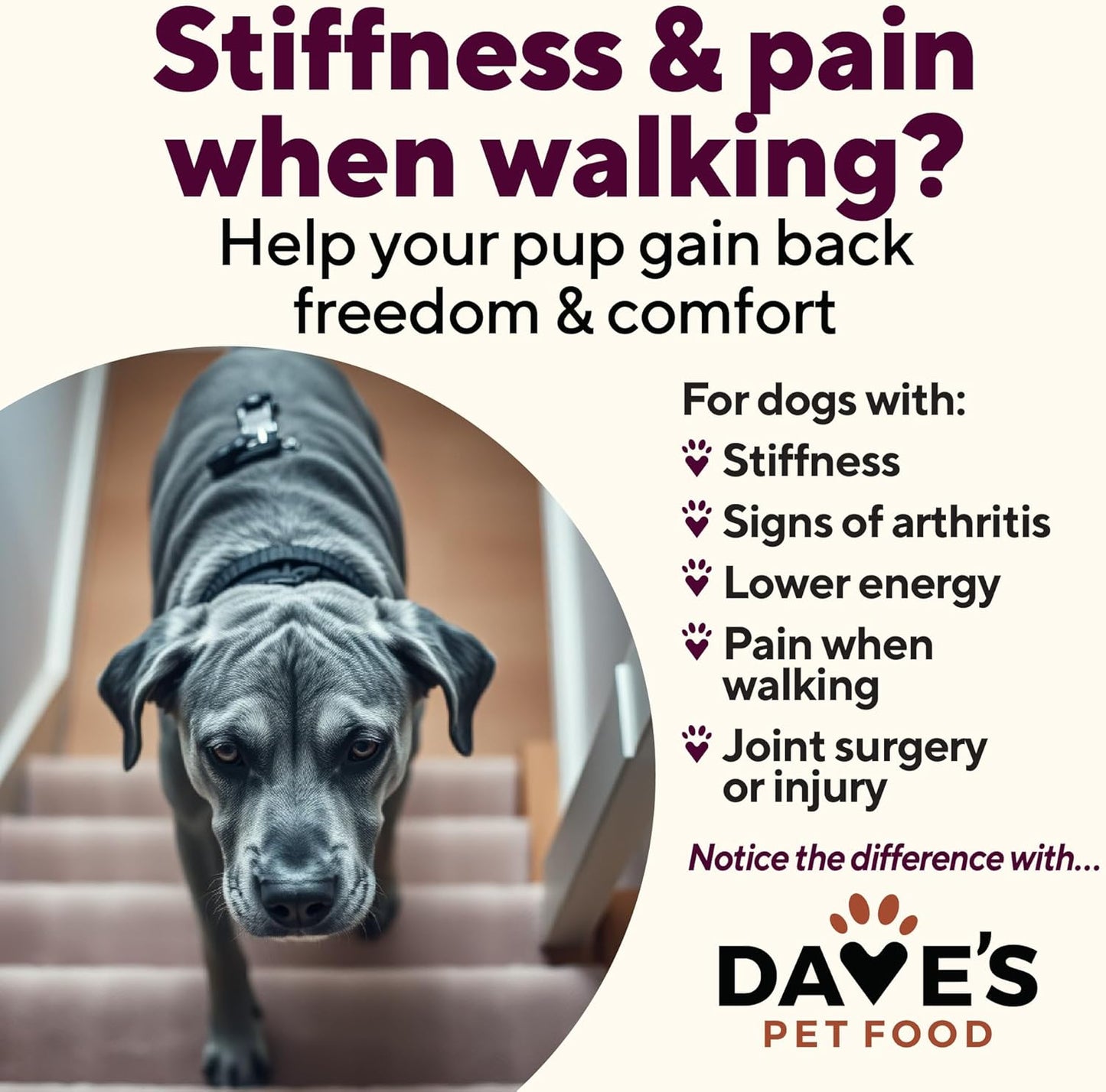 Dave's Restricted Hip & Joint Support, Chicken, Duck, & Turkey Recipe for Dogs / 13.2 oz