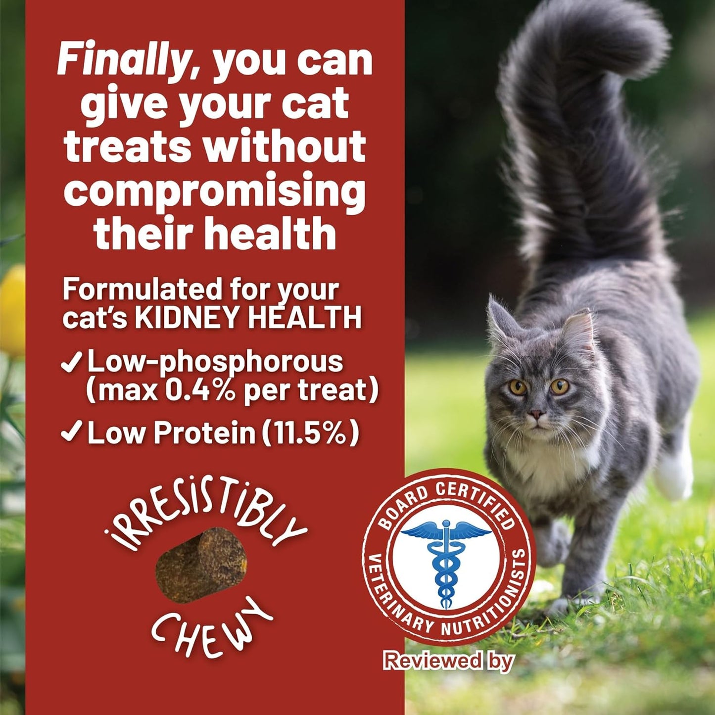 Dave's Kidney-Friendly Semi-Moist Cat Treats /3oz