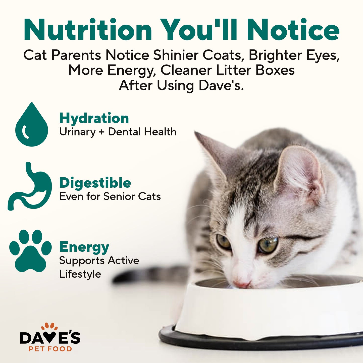 Naturally Healthy Grain Free Turkey & Giblets Dinner / 5.5 oz