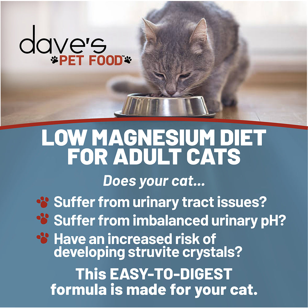 Magnesium clearance for cats