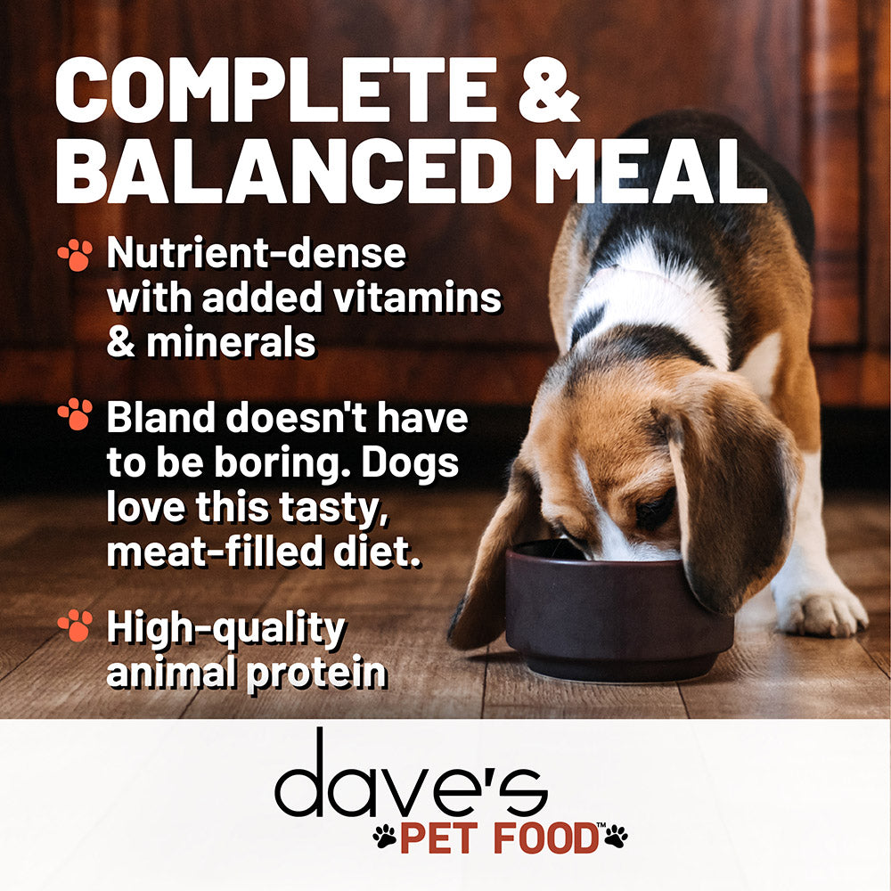 Restricted Diet Bland for Dogs Chicken and Rice 22 oz