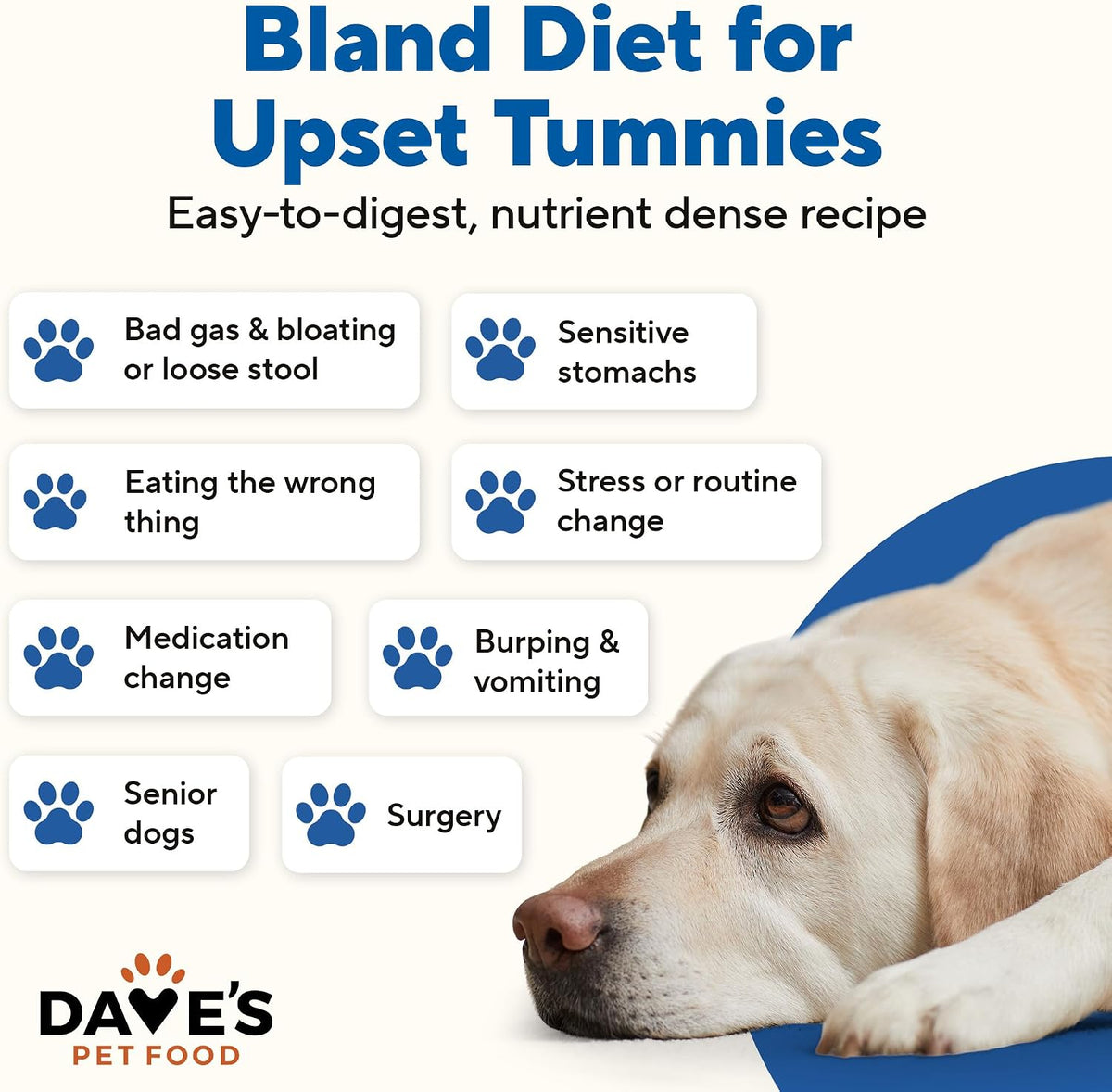 Dave's Bland Chicken & Rice Pouch Recipe for Dogs / 10-pack / 9 oz