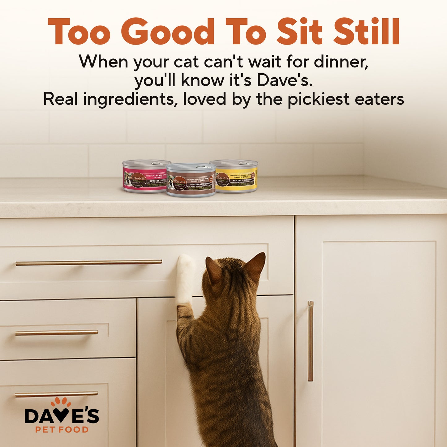 2.8 oz Cat Food Variety Pack - 12 Pack