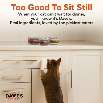 2.8 oz Cat Food Variety Pack - 12 Pack