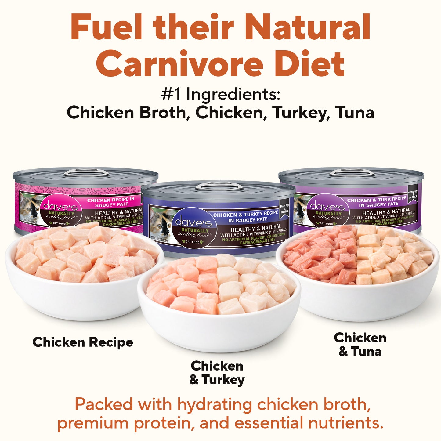 5.5 oz Saucey Pate Cat Food Variety Pack - 12 Pack
