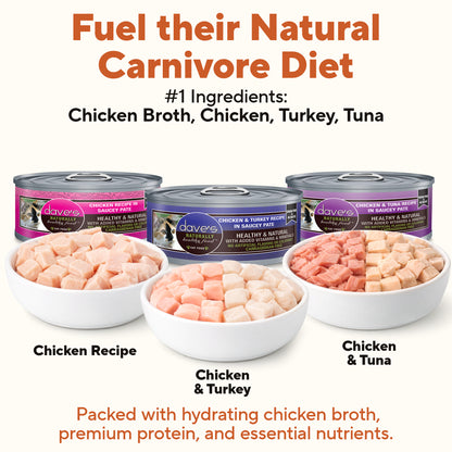 5.5 oz Saucey Pate Cat Food Variety Pack - 12 Pack