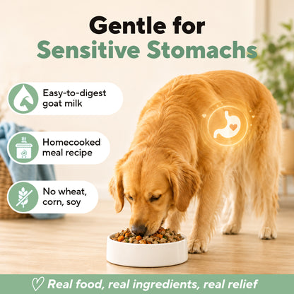 Dave's Beef & Chicken with Brown Rice, Goat Milk Pouch Recipe for Dogs / 10 Pack - 9 oz Pouches