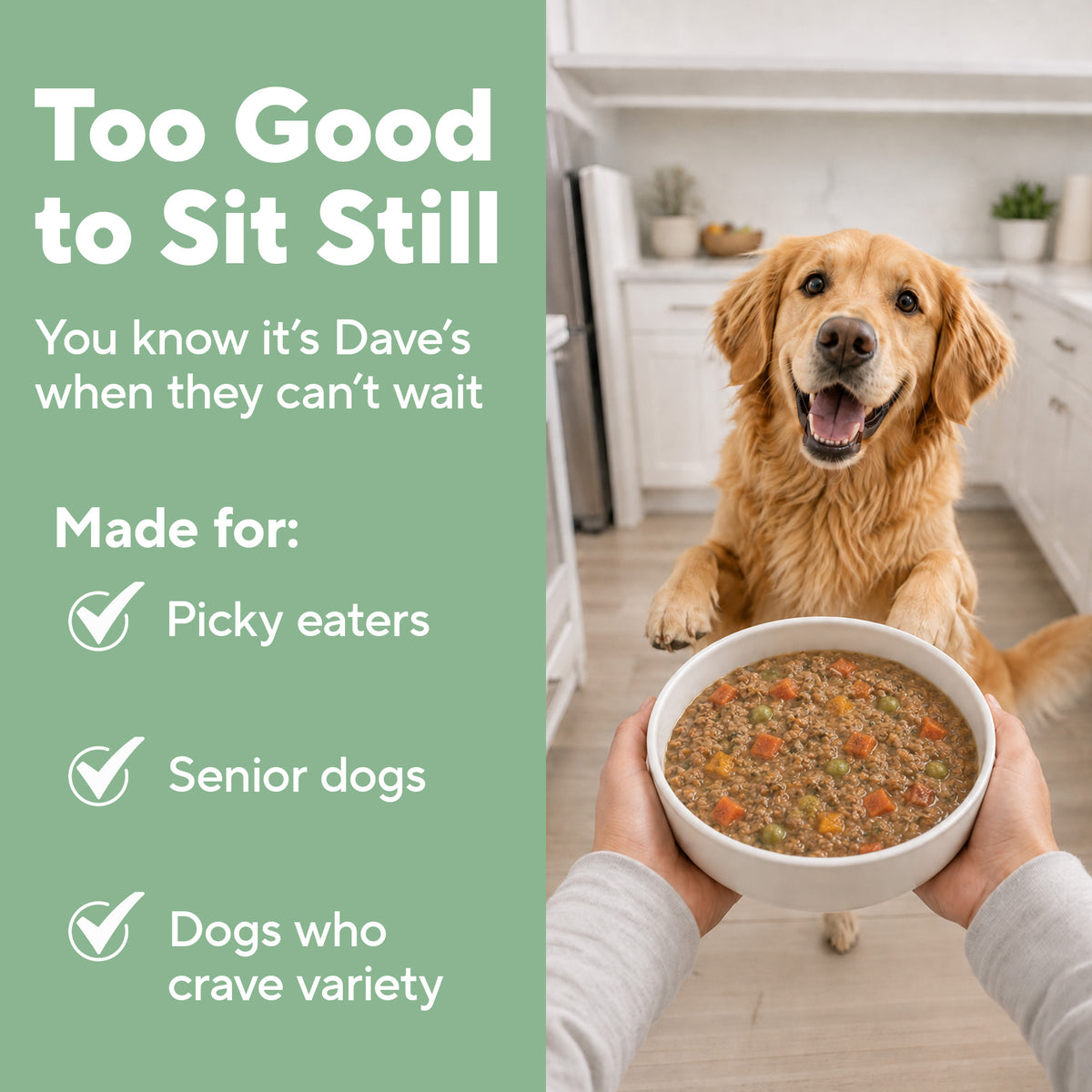 Dave's Beef & Chicken with Brown Rice, Goat Milk Pouch Recipe for Dogs / 10 Pack - 9 oz Pouches