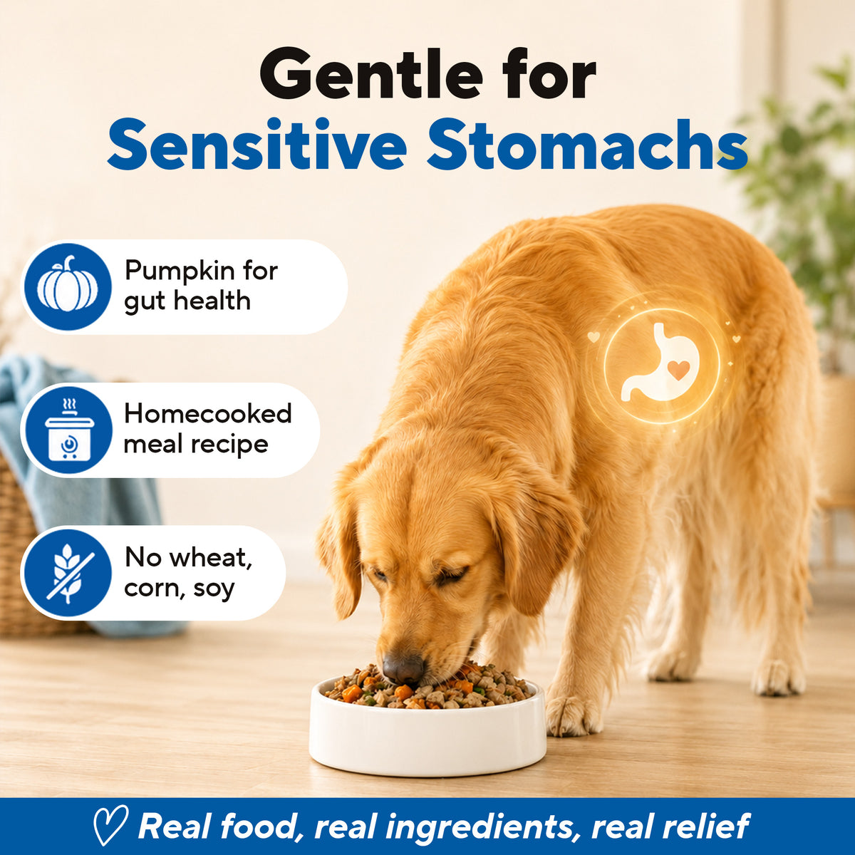 Dave's Bland Beef & Rice Pouch Recipe for Dogs / 10 Pack - 9 oz Pouches