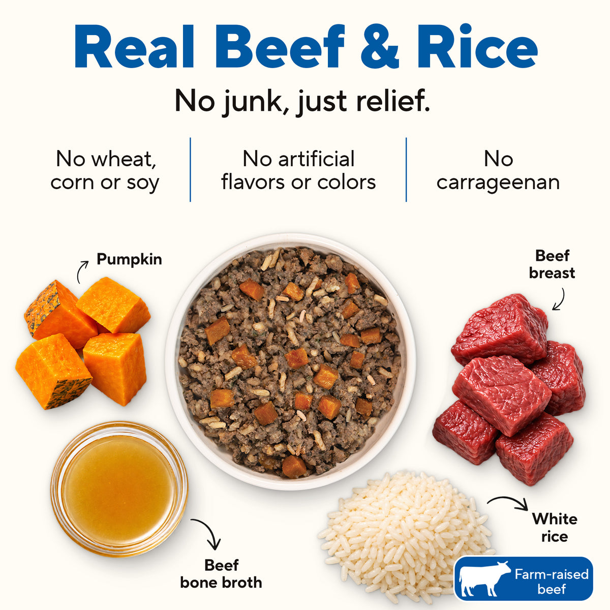 Dave's Bland Beef & Rice Pouch Recipe for Dogs / 10 Pack - 9 oz Pouches