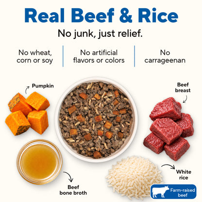 Dave's Bland Beef & Rice Pouch Recipe for Dogs / 10 Pack - 9 oz Pouches