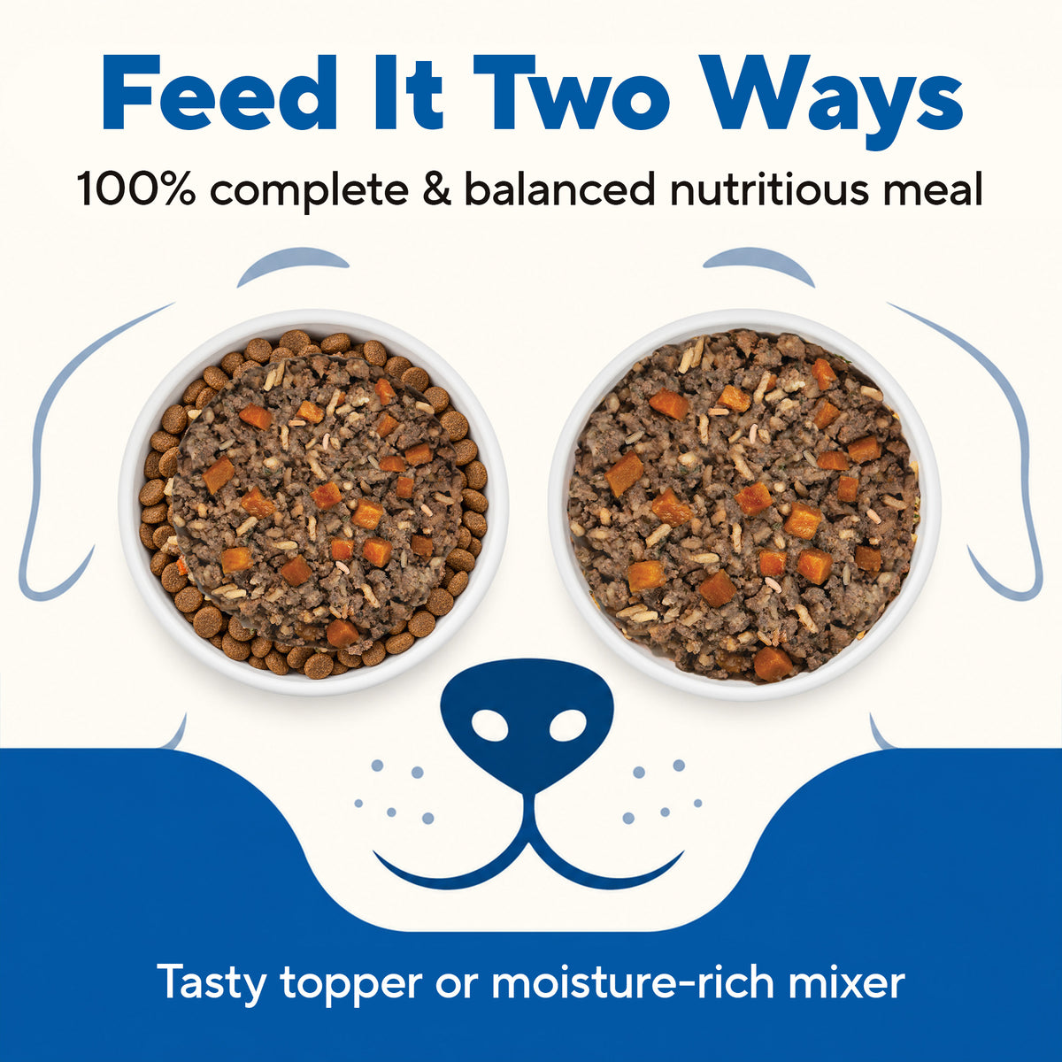 Dave's Bland Beef & Rice Pouch Recipe for Dogs / 10 Pack - 9 oz Pouches