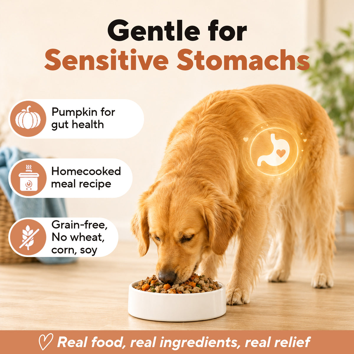 Dave's Chicken & Brown Rice, Goat Milk Pouch Recipe for Dogs / 10 Pack - 9 oz Pouches