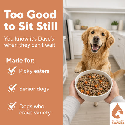 Dave's Chicken & Brown Rice, Goat Milk Pouch Recipe for Dogs / 10 Pack - 9 oz Pouches