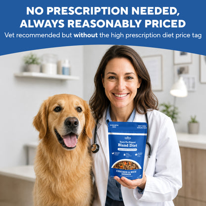 Dave's Bland Chicken & Rice Pouch Recipe for Dogs / 10-pack / 9 oz