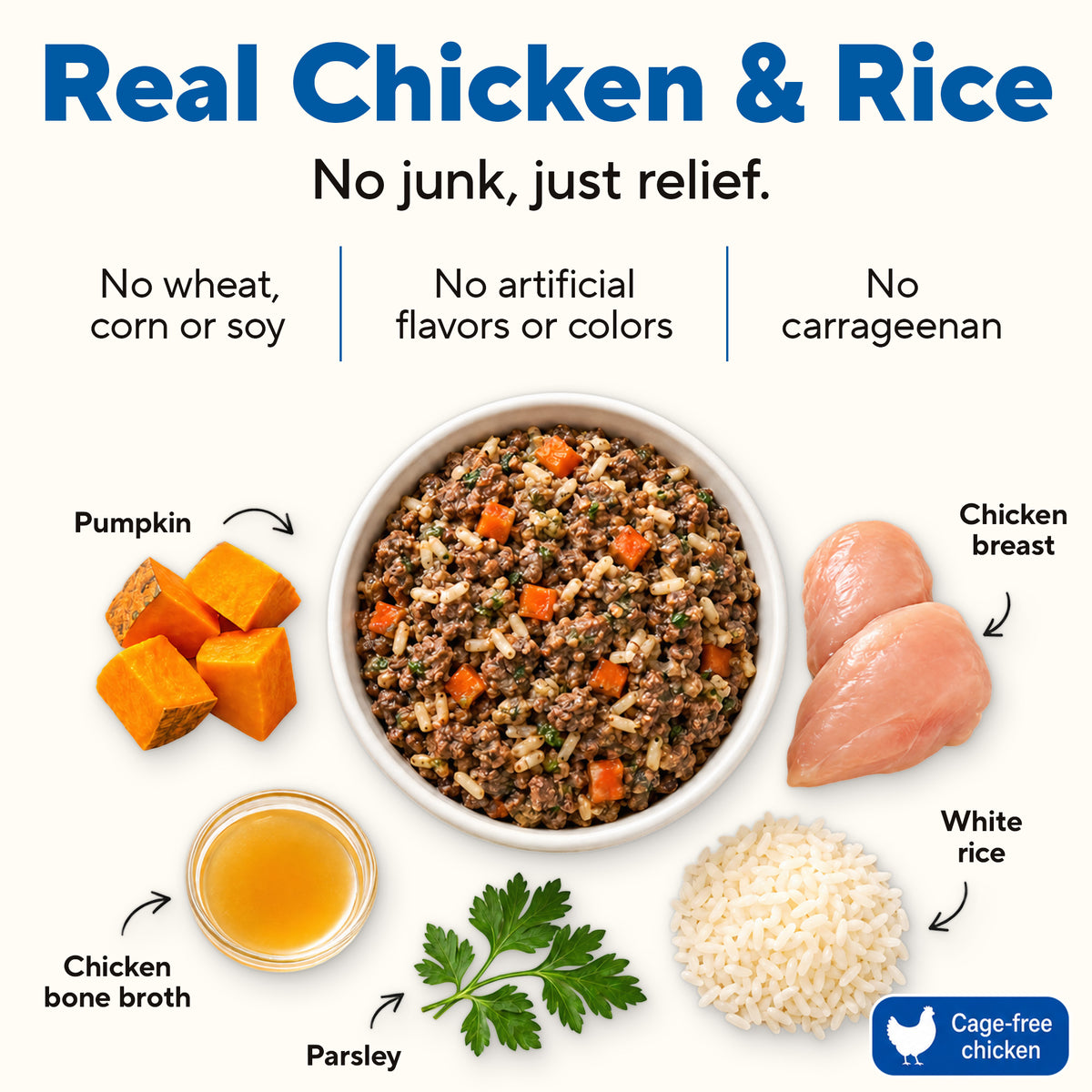 Dave's Bland Chicken & Rice Pouch Recipe for Dogs / 10-pack / 9 oz
