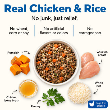 Dave's Bland Chicken & Rice Pouch Recipe for Dogs / 10-pack / 9 oz