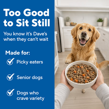 Dave's Bland Chicken & Rice Pouch Recipe for Dogs / 10-pack / 9 oz
