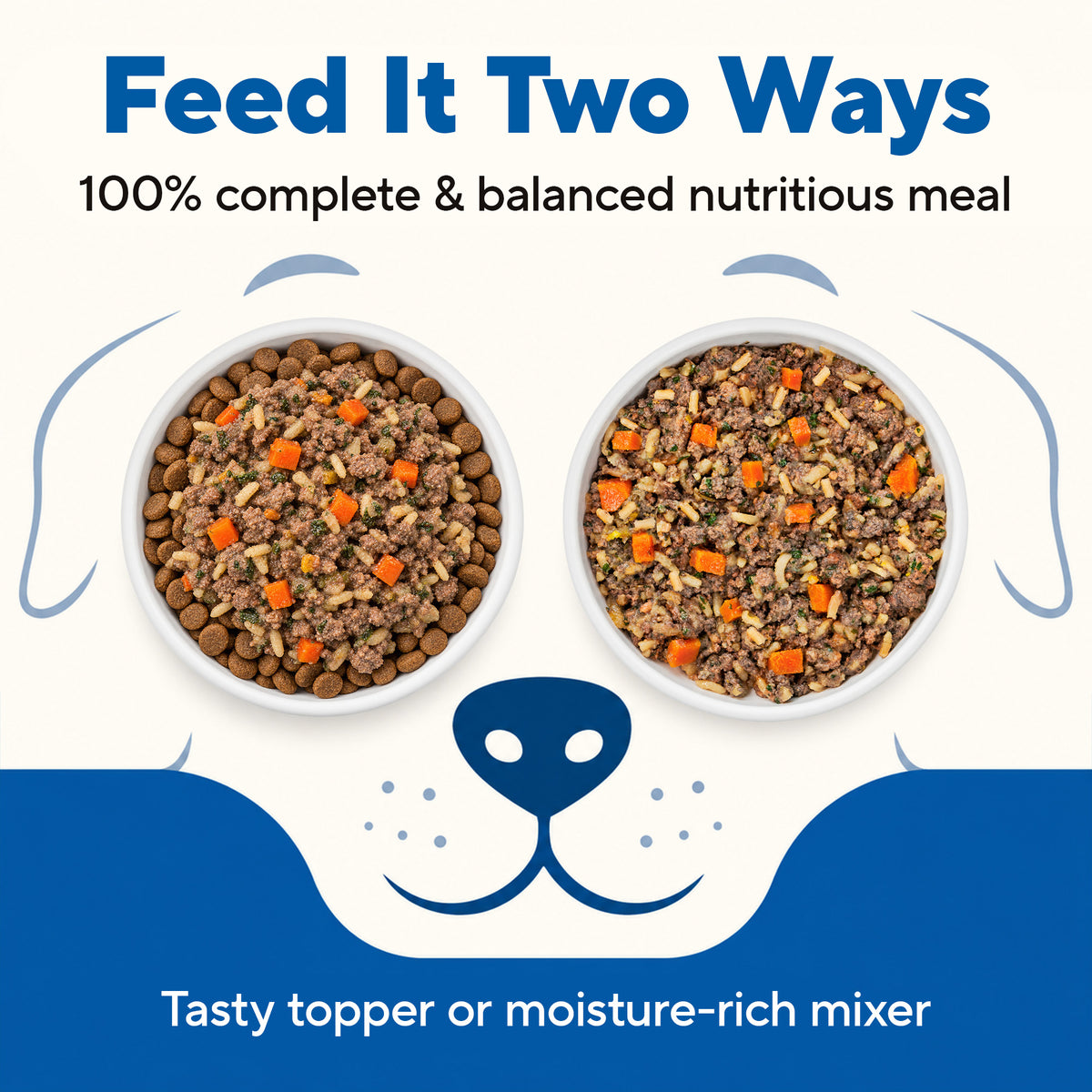 Dave's Bland Chicken & Rice Pouch Recipe for Dogs / 10-pack / 9 oz