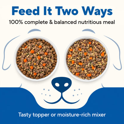 Dave's Bland Chicken & Rice Pouch Recipe for Dogs / 10-pack / 9 oz