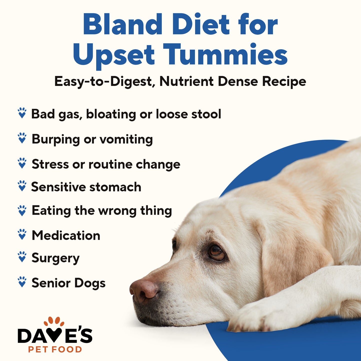 Restricted Diet Bland For Dogs – Turkey and Rice / 13.2 oz