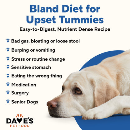 Restricted Diet Bland For Dogs – Turkey and Rice / 13.2 oz