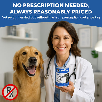 Restricted Diet Bland For Dogs – Turkey and Rice / 13.2 oz