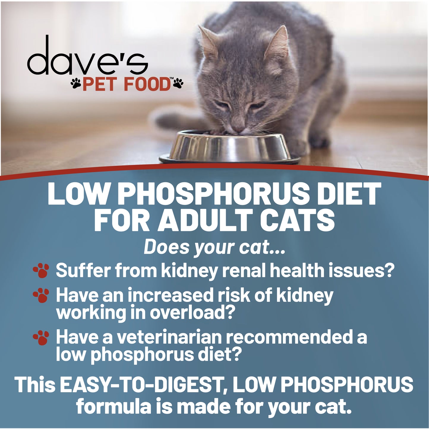 Restricted Diet Phosphorus – Chicken & Vegetable Stew for Cats / 3 oz