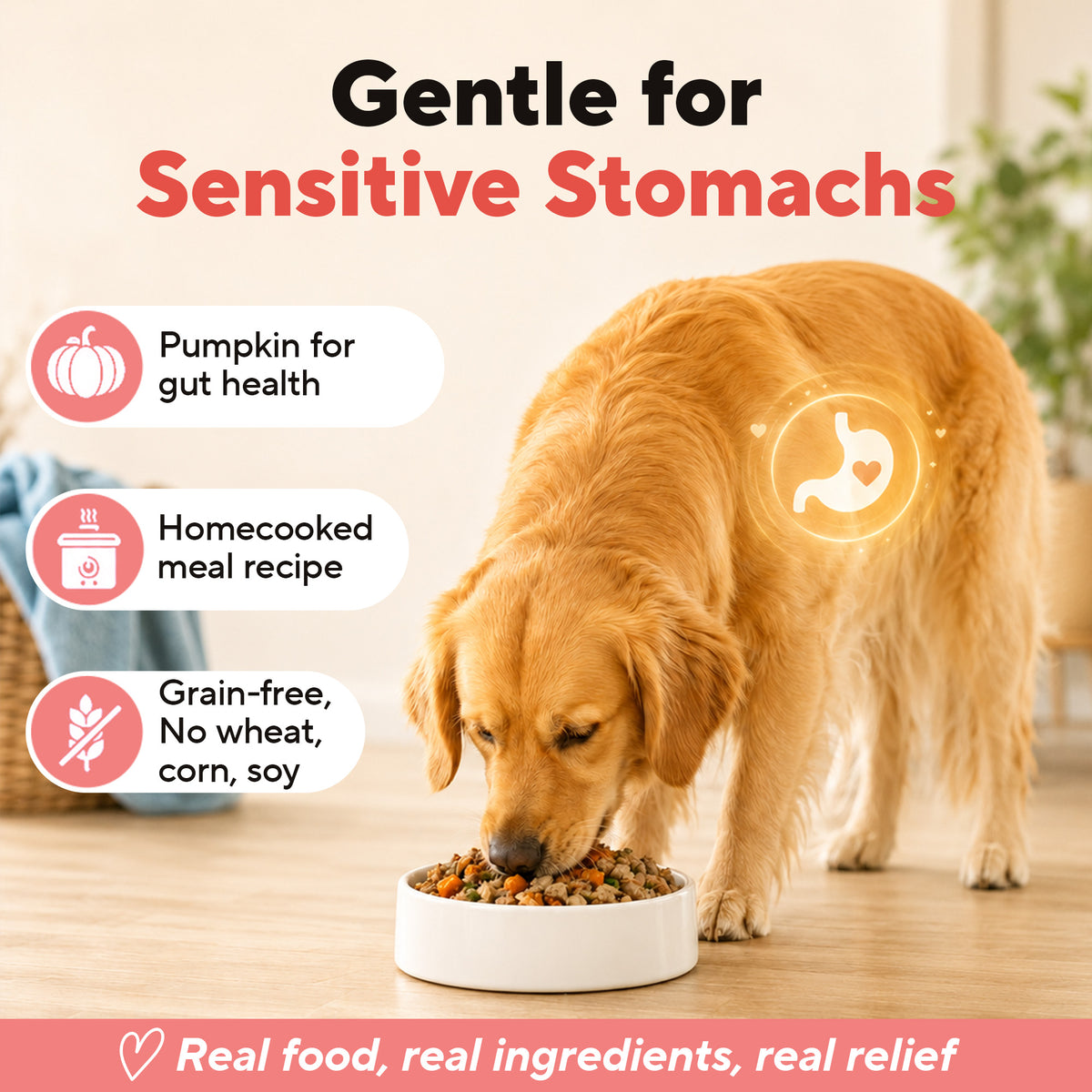 Dave's Chicken & Salmon with Brown Rice, Goat Milk Pouch Recipe for Dogs / 10 Pack - 9 oz Pouches