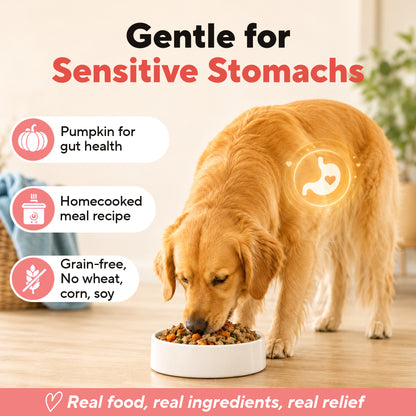 Dave's Chicken & Salmon with Brown Rice, Goat Milk Pouch Recipe for Dogs / 10 Pack - 9 oz Pouches