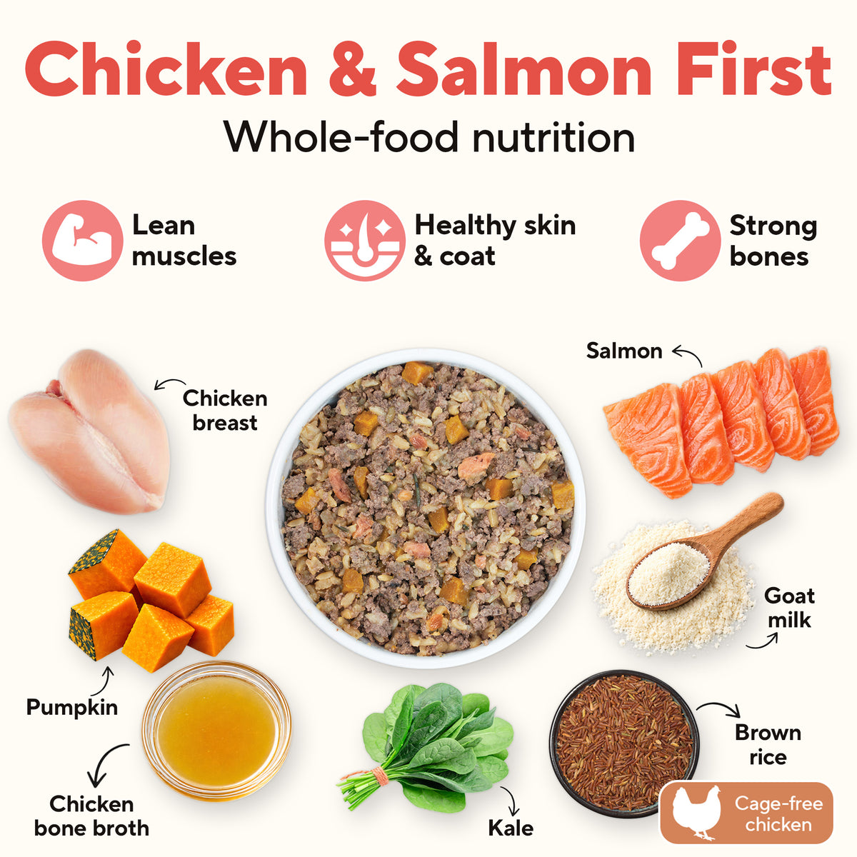 Dave's Chicken & Salmon with Brown Rice, Goat Milk Pouch Recipe for Dogs / 10 Pack - 9 oz Pouches