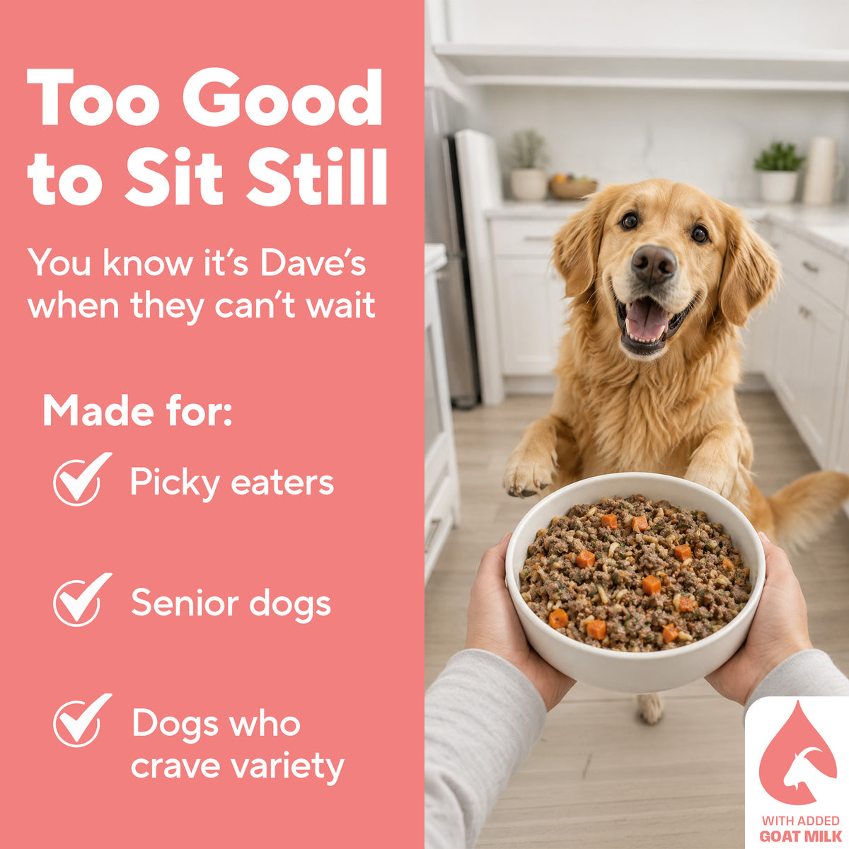Dave's Chicken & Salmon with Brown Rice, Goat Milk Pouch Recipe for Dogs / 10 Pack - 9 oz Pouches
