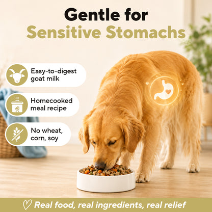 Dave's Brown Rice Variety Pack Pouches with Goat Milk for Dogs / 9 Pack - 9 oz Pouches