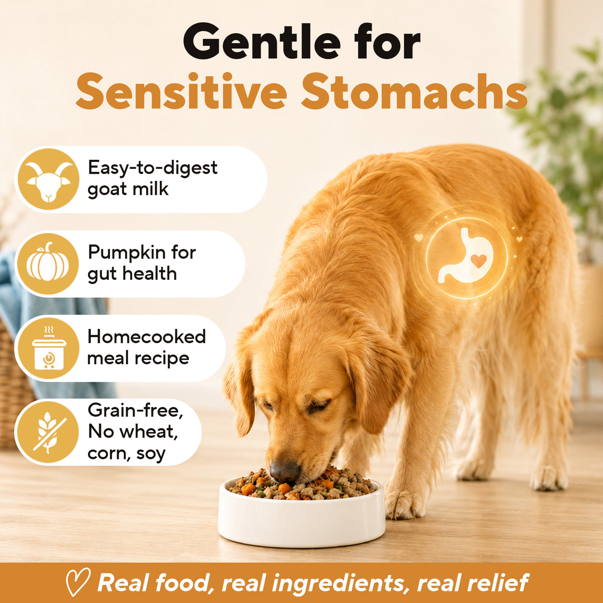 Dave's Grain-Free Variety Pack Pouches with Goat Milk for Dogs / 9 Pack - 9 oz Pouches
