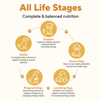 Dave's Grain-Free Variety Pack Pouches with Goat Milk for Dogs / 9 Pack - 9 oz Pouches