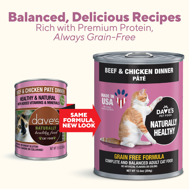 Dave's Pet Food Naturally Healthy Adult Dry Cat Food 20
