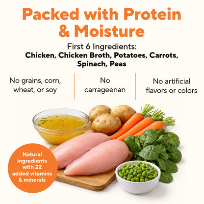 Dave's Stewlicious Chicken Pot Pie Dinner for Dogs / 13.2 oz