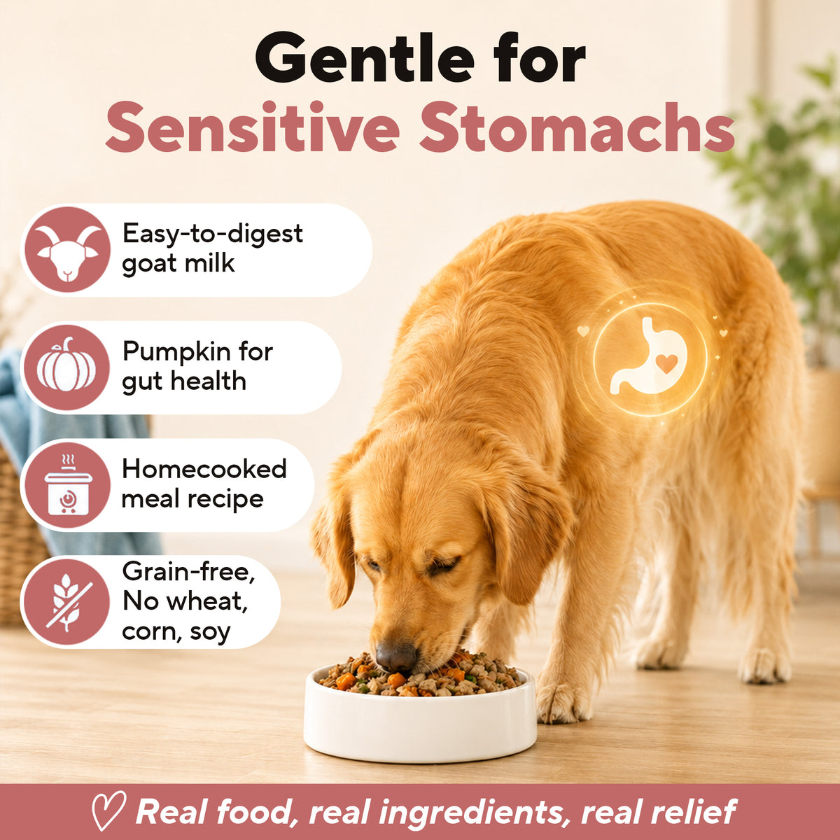 Dave's Grain-Free Goat Milk, Duck & Beef Pouch Recipe for Dogs / 10 Pack - 9 oz Pouches