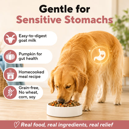 Dave's Grain-Free Goat Milk, Duck & Beef Pouch Recipe for Dogs / 10 Pack - 9 oz Pouches