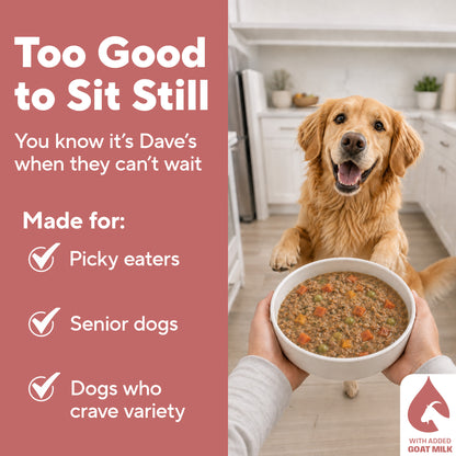 Dave's Grain-Free Goat Milk, Duck & Beef Pouch Recipe for Dogs / 10 Pack - 9 oz Pouches