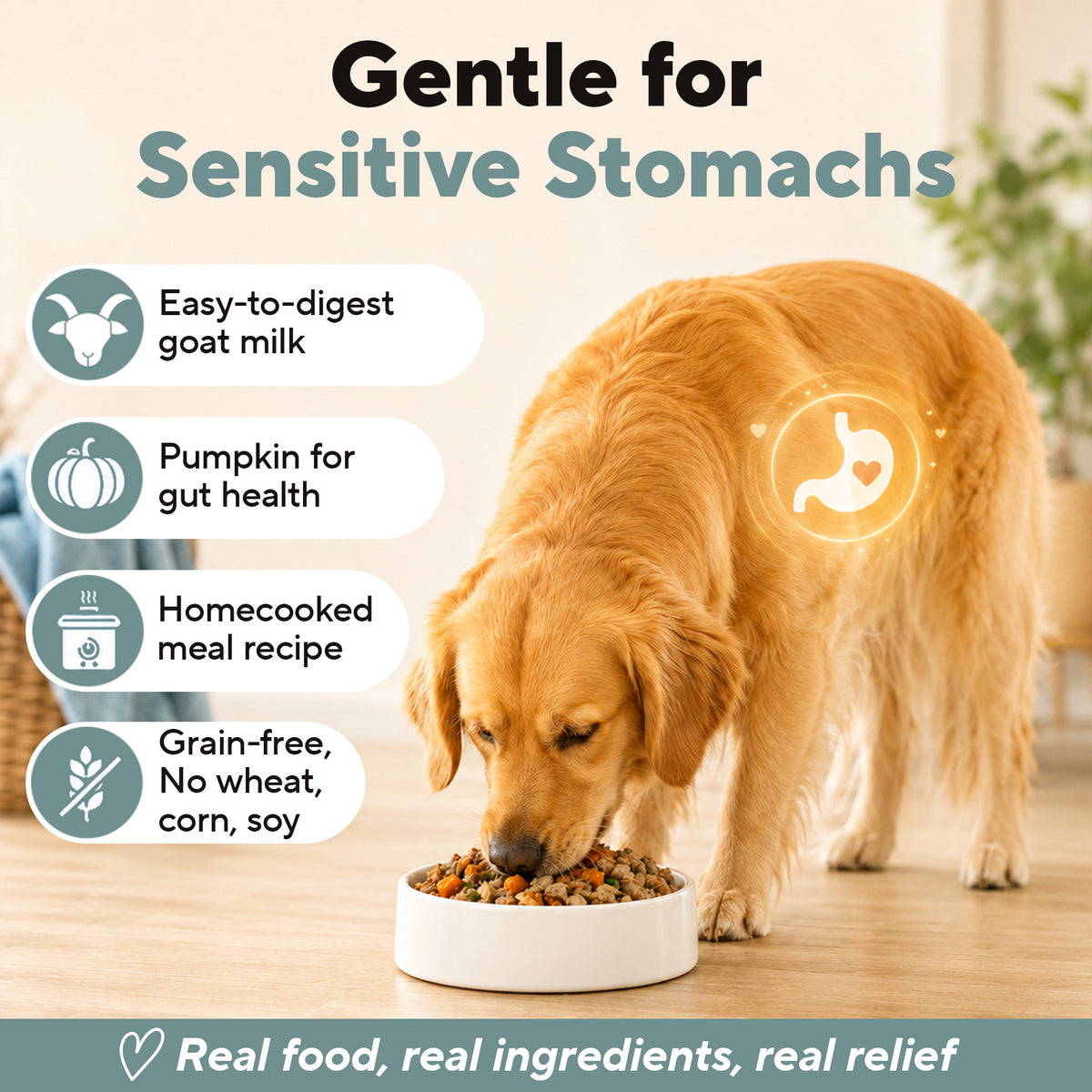 Dave's Grain-Free Goat Milk, Duck & Chicken Pouch Recipe for Dogs / 10 Pack - 9 oz Pouches