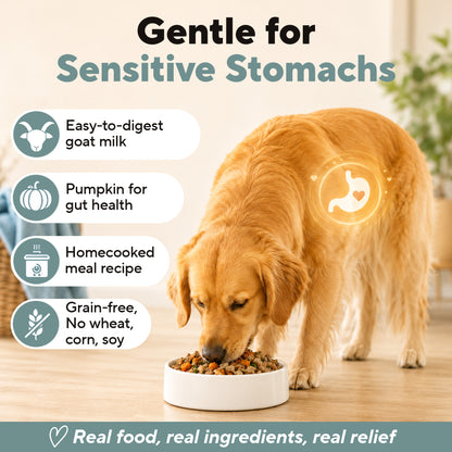 Dave's Grain-Free Goat Milk, Duck & Chicken Pouch Recipe for Dogs / 10 Pack - 9 oz Pouches