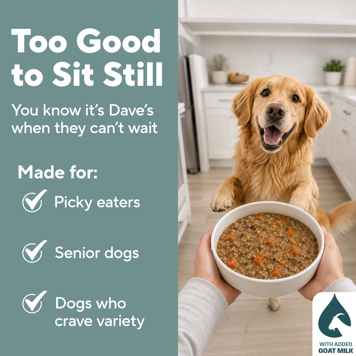 Dave's Grain-Free Goat Milk, Duck & Chicken Pouch Recipe for Dogs / 10 Pack - 9 oz Pouches